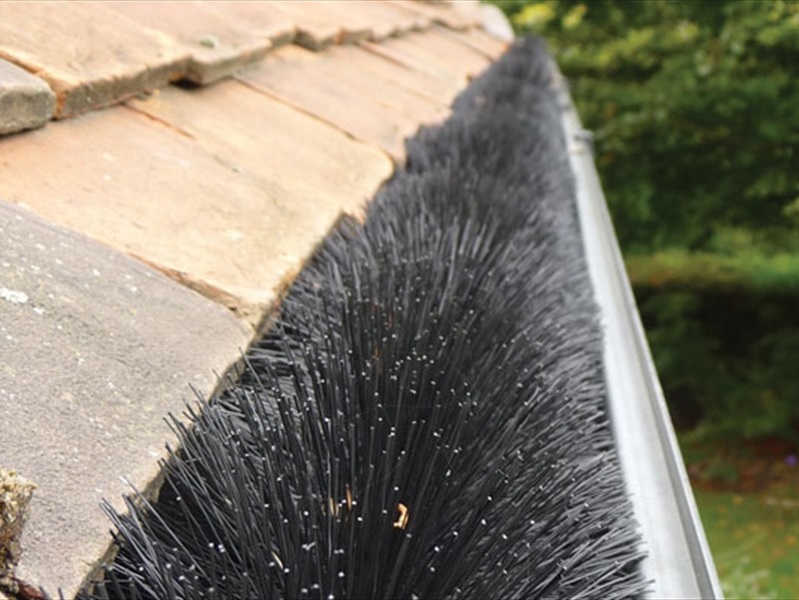 Gutter Brushes