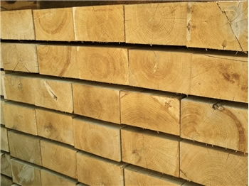 Fresh Cut Oak Sleepers 200mm x 100mm x 2400mm