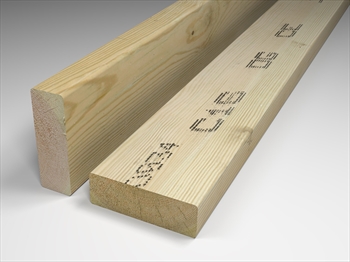 Treated Timber Rafter / Purlin / Joist (9" x 3")