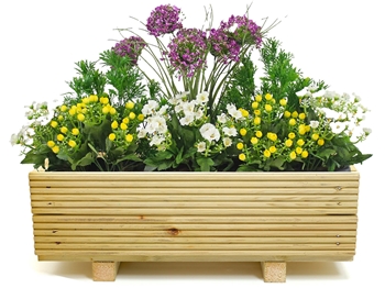 Economy 2 Tier Garden Planter (W590mm x D340mm x H215mm)